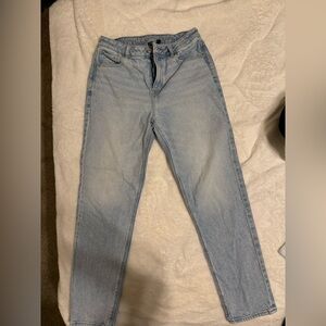 American Eagle Strigid Mom Jean - Regular Length